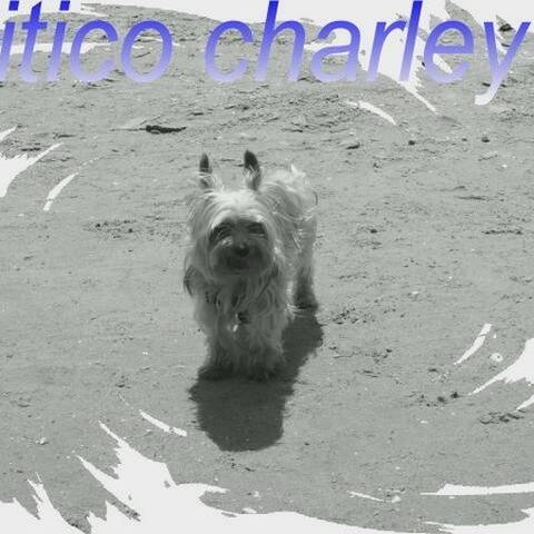 Public Photo of charley