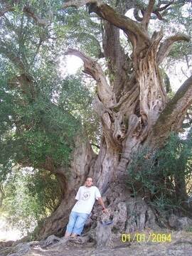 Viaggio in Sardegna